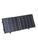 100 W Portable Solar Panel